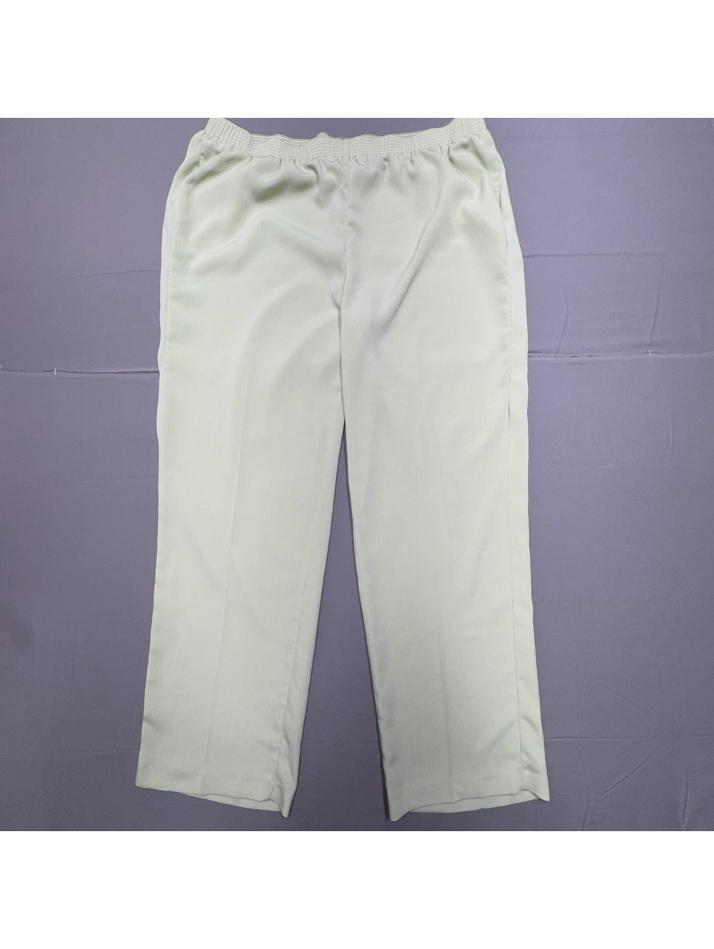 Allison Daley Womens Vintage Pull On Textured Pants Size 20W Mint Green Casual
